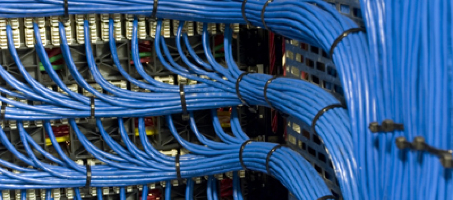 4Photo0101-304918dc72